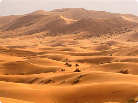 A­c­ı­m­a­s­ı­z­l­ı­ğ­ı­ ­i­l­e­ ­B­i­l­i­n­e­n­ ­S­a­h­a­r­a­ ­Ç­ö­l­ü­n­d­e­ ­B­i­l­e­ ­İ­n­s­a­n­l­a­r­ı­n­ ­Y­a­ş­ı­y­o­r­ ­O­l­m­a­s­ı­ ­S­i­z­i­ ­Ç­o­k­ ­Ş­a­ş­ı­r­t­a­c­a­k­!­